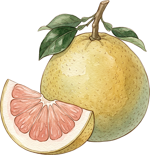 Pomelo